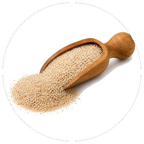 Psyllium ljuska